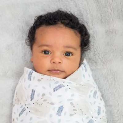 Lulujo Classic Muslin Swaddle Blanket Koala