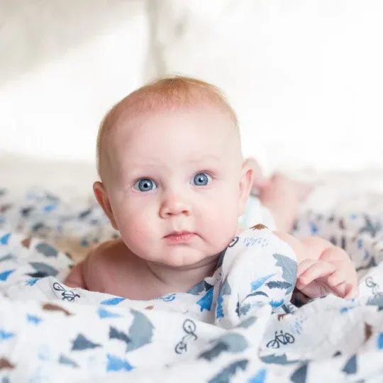 Lulujo Classic Muslin Swaddle Blanket Mountain Top Lulujo Classic Muslin Swaddle Blanket Mountain Top