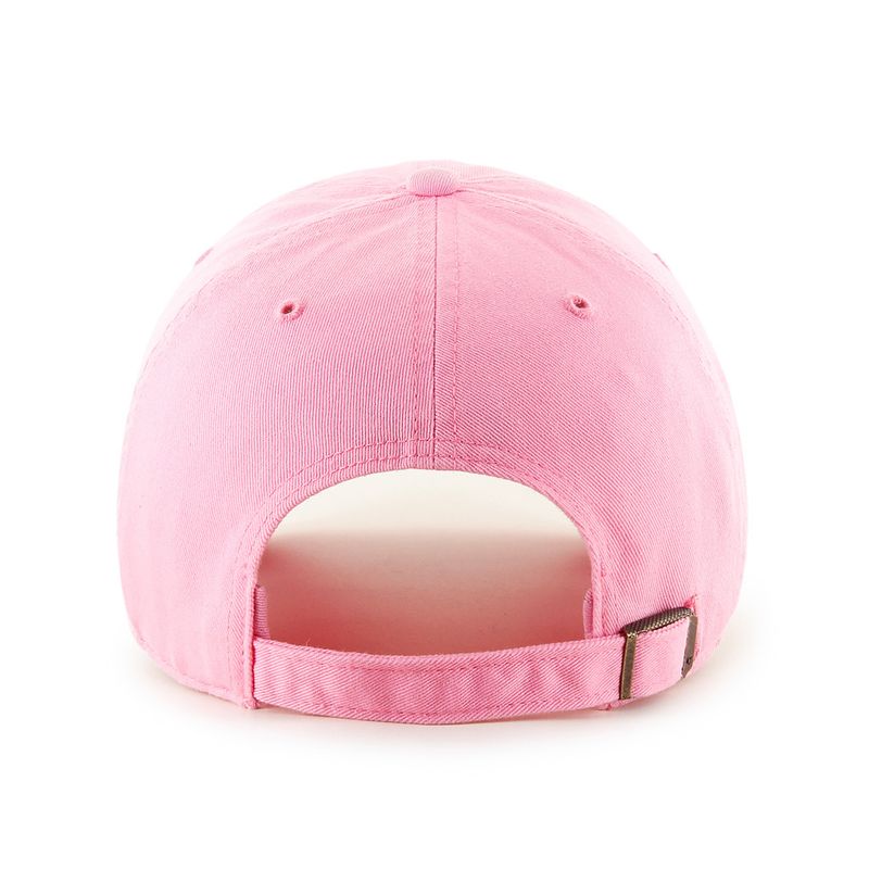 Blank '47 Clean Up Cap Rose
