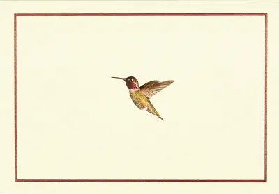 Peter Pauper Note Card  Hummingbird Flight