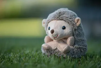 Bukowski Sweet Hubert Sitting