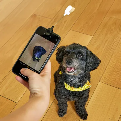 Kikkerland Dog Treat Selfie Clip