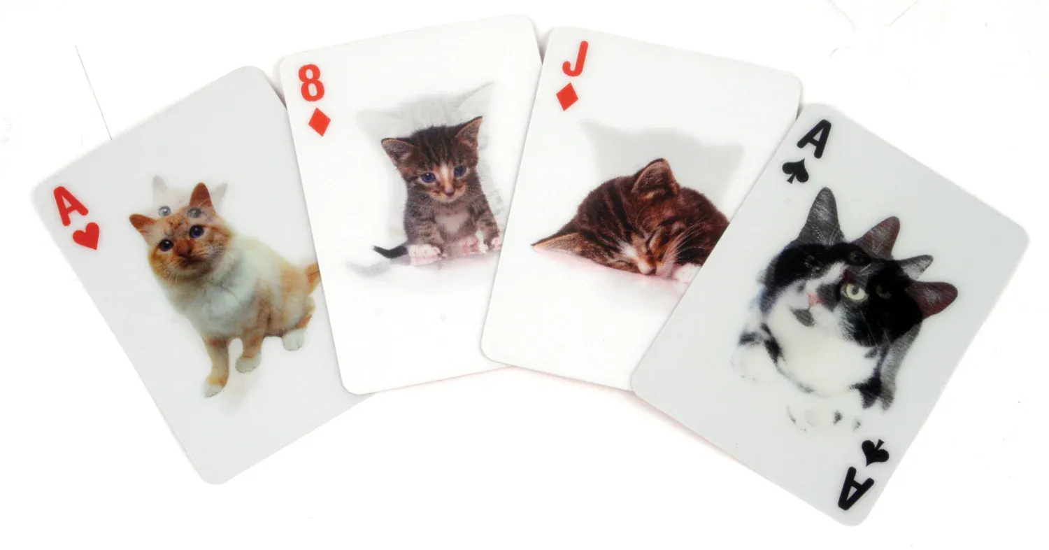 Kikkerland 3D Playing Cards Cats