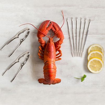 8 Piece Seafood Tool Set