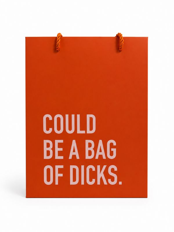 Classy Cards Gift Bag Medium Bag of Dicks