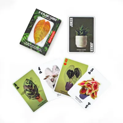 Kikkerland 3-D Plant Cards