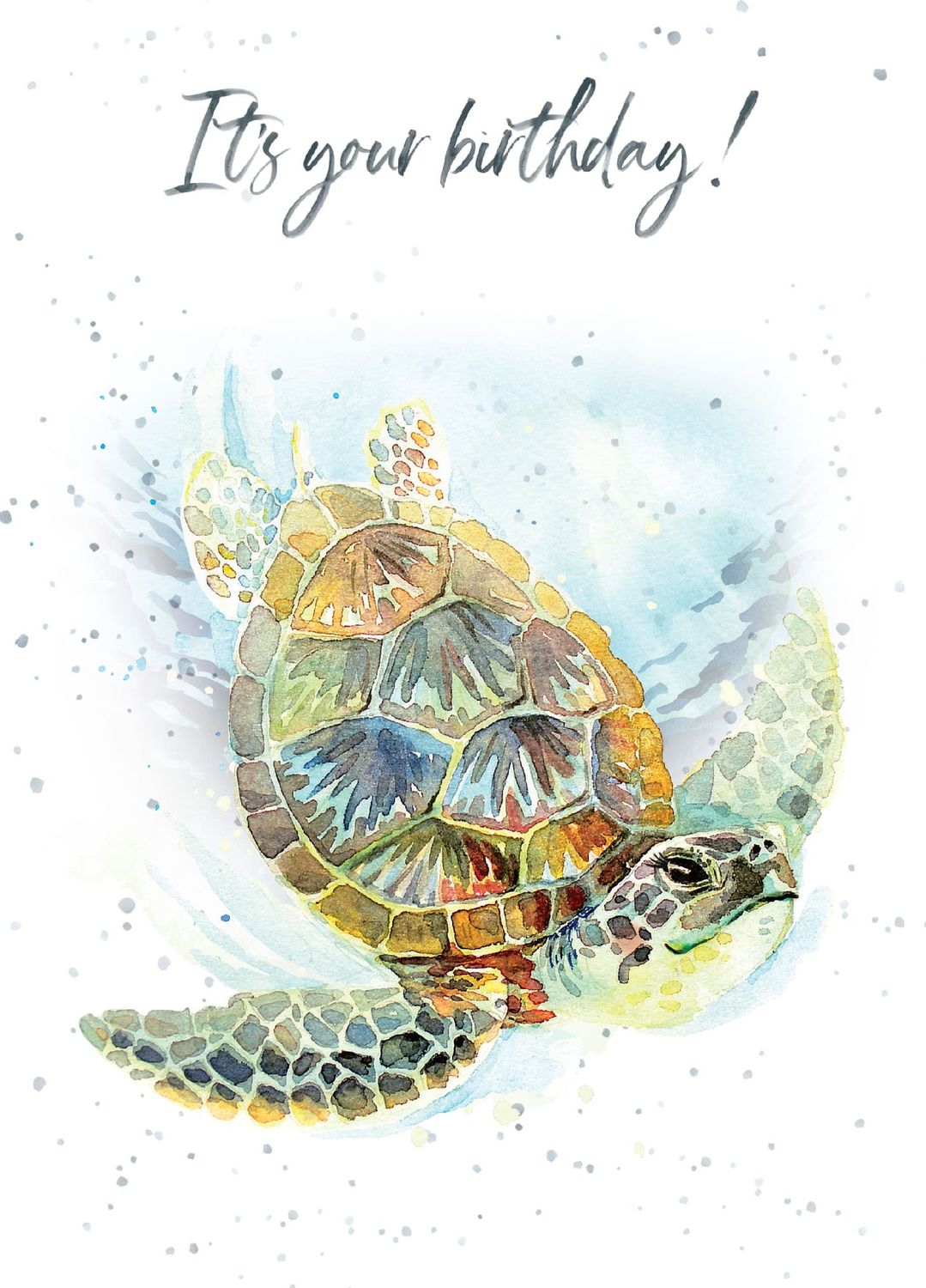 Hopper Studios Birthday Turtle