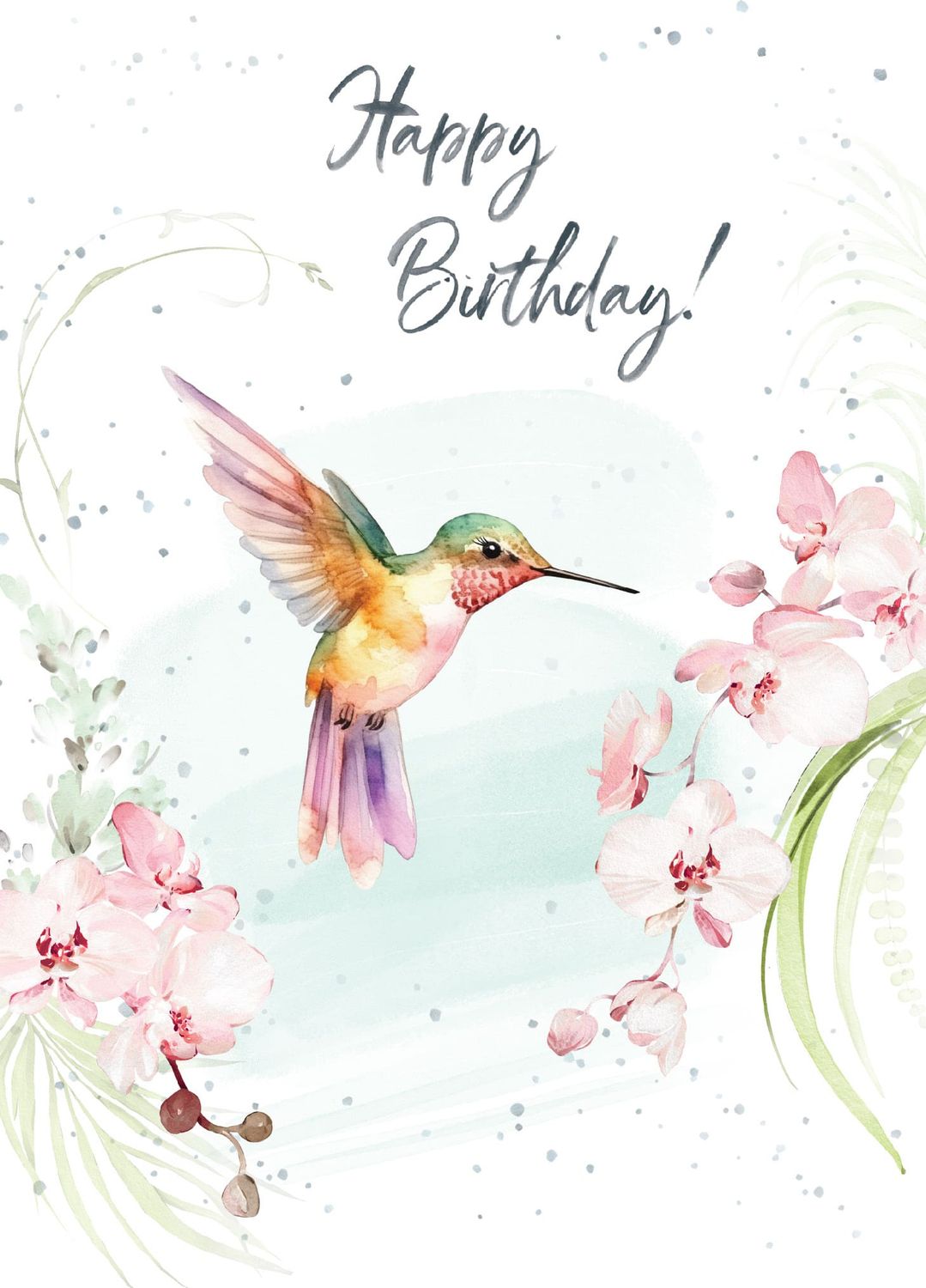 Hopper Studios Hummingbird Orchids