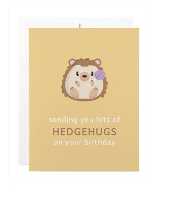 Classy Cards Greeting Card Kids Hedgehugs