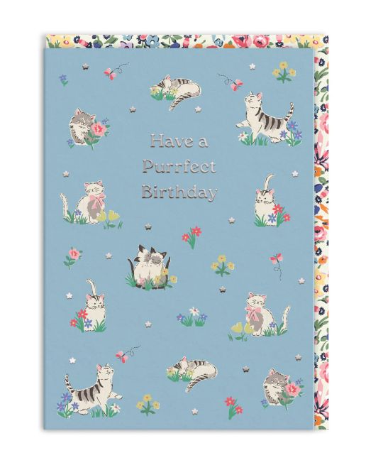 Ohh Deer Purrfect Birthday Kittens