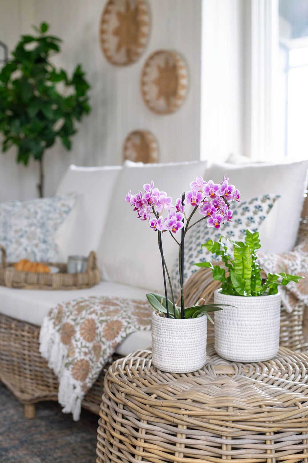 Bacon Basketware MediumTextured White Pot