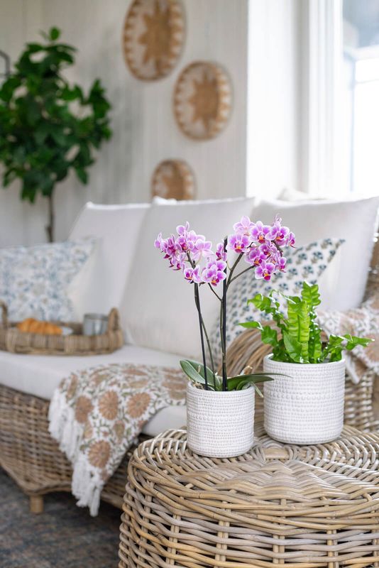 Bacon Basketware MediumTextured White Pot