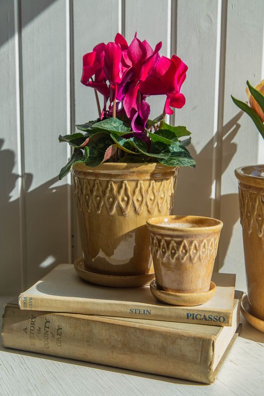 Bacon Basketware Medium Beige Embossed Pot