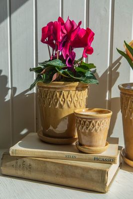 Bacon Basketware Medium Beige Embossed Pot