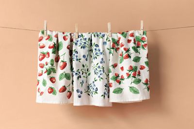 Danica Bakers Flour Berry Patch Set/3 Danica Bakers Flour Berry Patch Set/3