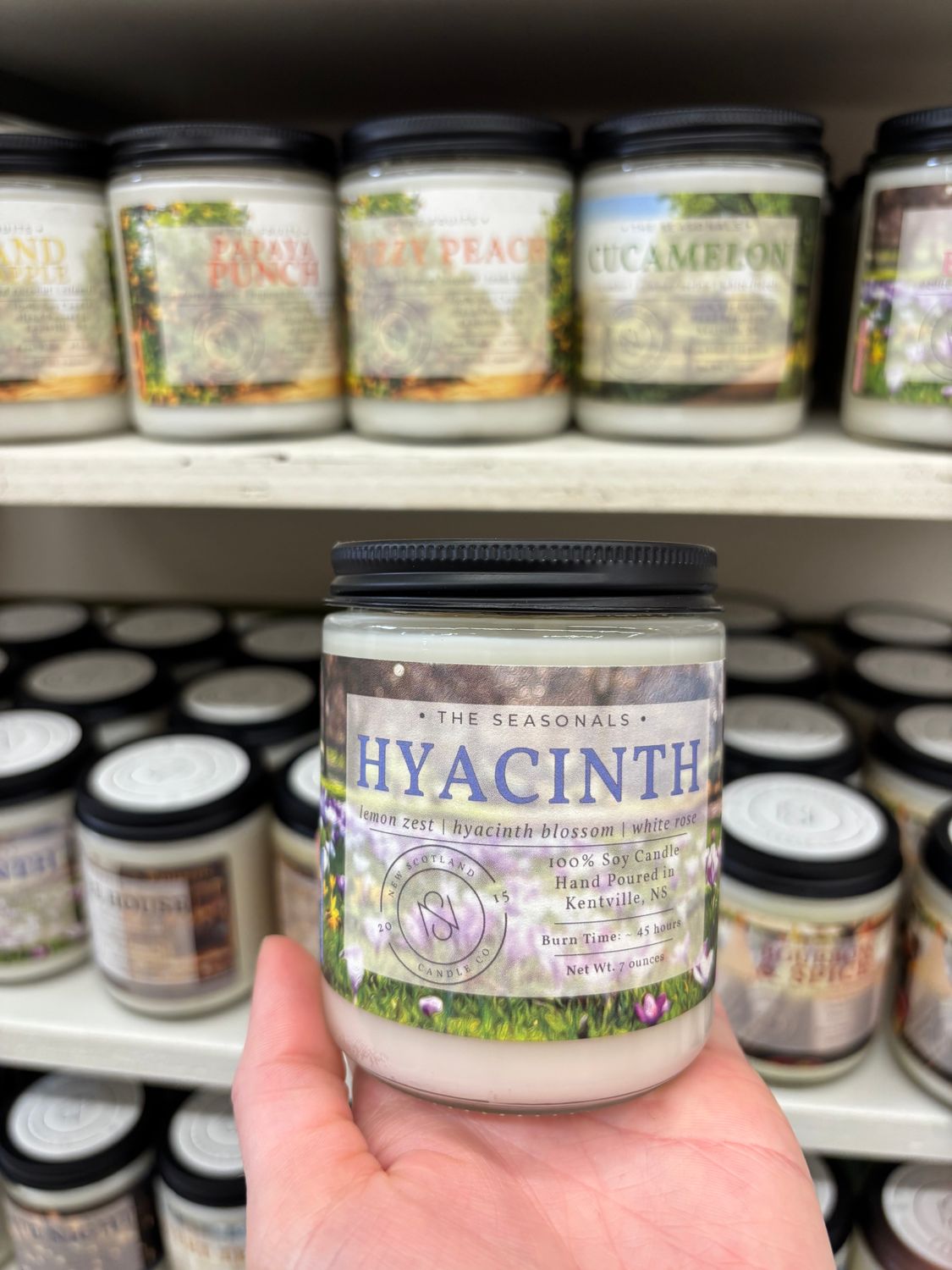 New Scotland Candle Co. Hyacinth Limited 7oz New Scotland Candle Co. Hyacinth Limited 7oz