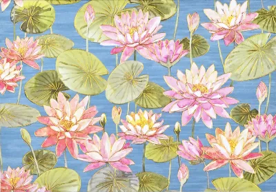 Peter Pauper Note Card Water Lilies 