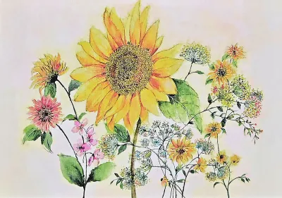 Peter Pauper Note Card Watercolor Sunflower
