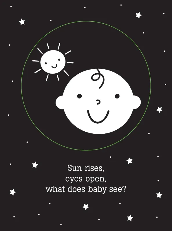 Peter Pauper Shadow Book What Does Baby See?