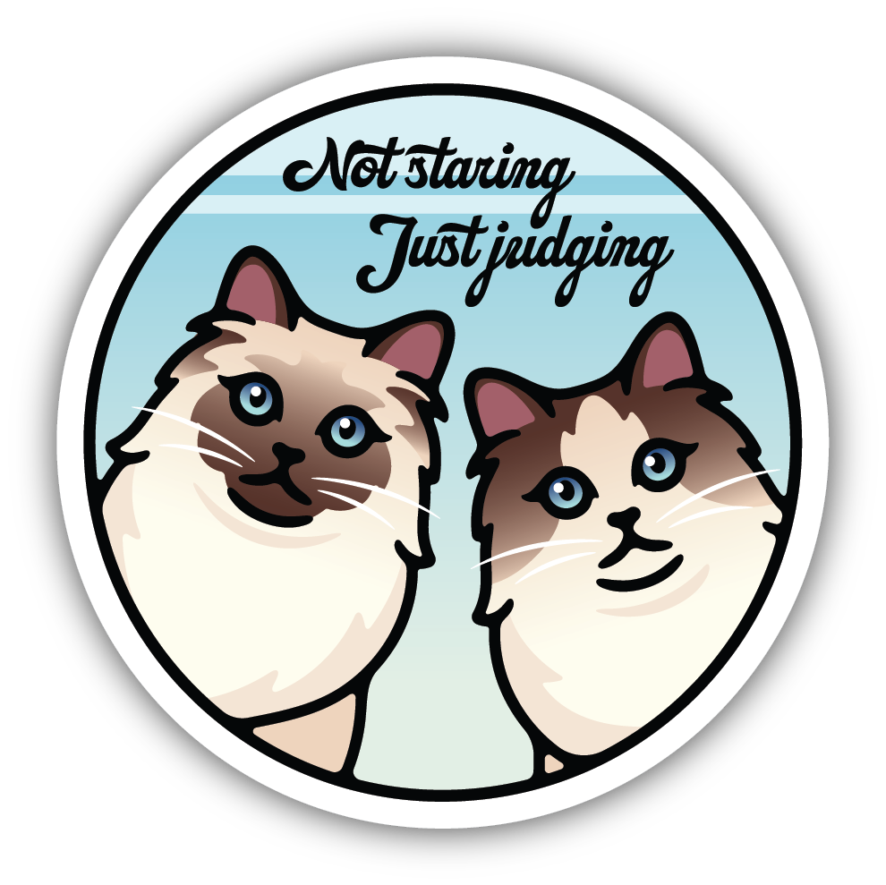 Stickers Northwest Not Staring Just Judging Cats