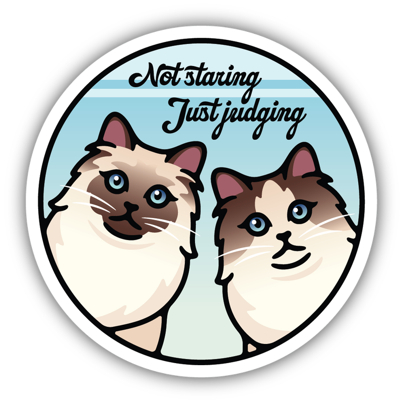 Stickers Northwest Not Staring Just Judging Cats