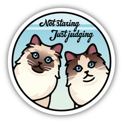 Stickers Northwest Not Staring Just Judging Cats