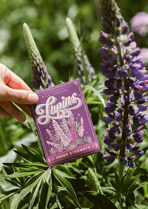 To &amp; From Gift Co. Seed Packets Wild Coastal Lupins