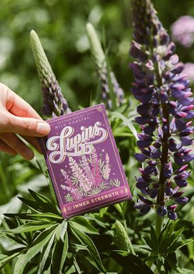 To &amp; From Gift Co. Seed Packets Wild Coastal Lupins