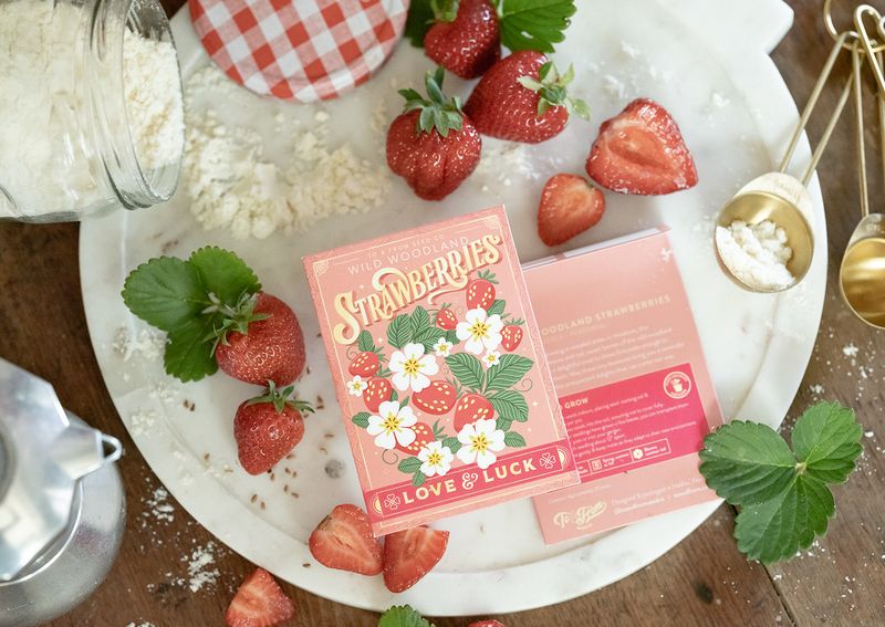 To &amp; From Gift Co. Seed Packets Strawberries