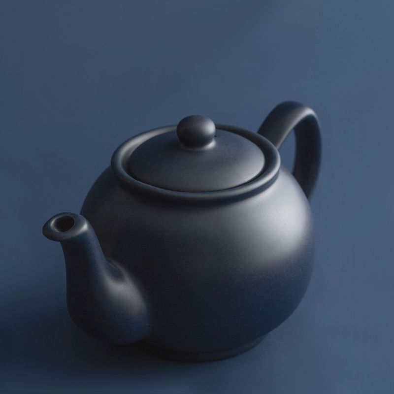 Price & Kensington Matte 2 Cup Teapot Navy Price & Kensington Matte 2 Cup Teapot Navy