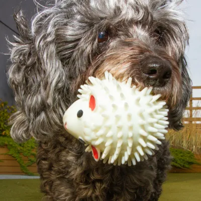 Kikkerland Kobe Sheep Dog Ball