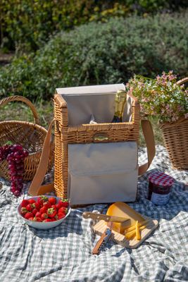 Bacon Basketware Willow 2 Wine Bottle Bag