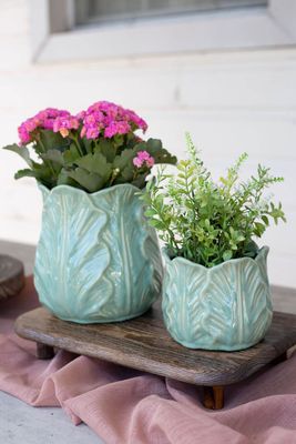 Bacon Basketware Green Cabbage Pot Small