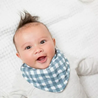 Lulujo Bandana Bibs 2 Pack Fish &amp; Navy Gingham