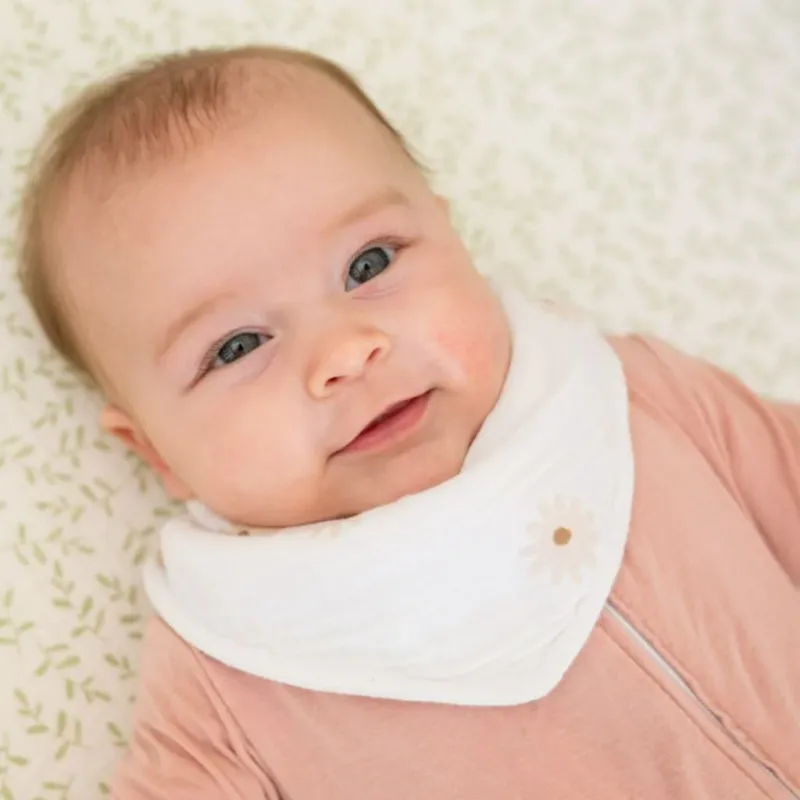 Lulujo Bandana Bibs 2 Pack Daisies & Greenery