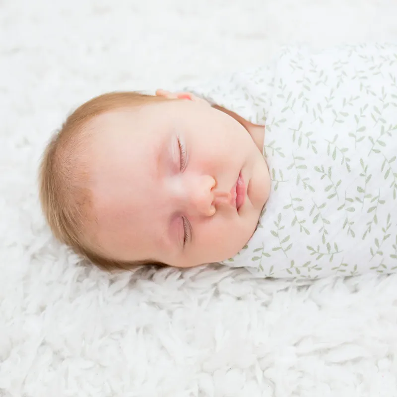 Lulujo 2Pack Cotton Muslin Swaddle Daisies &amp; Greenery
