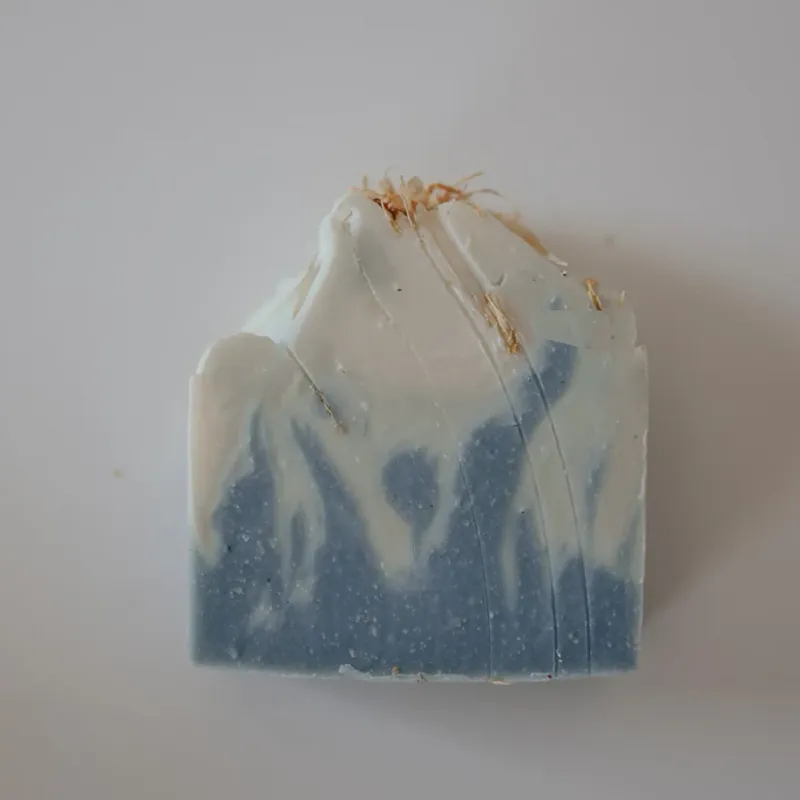 Soak Bath Co Lake Life Soap Bar