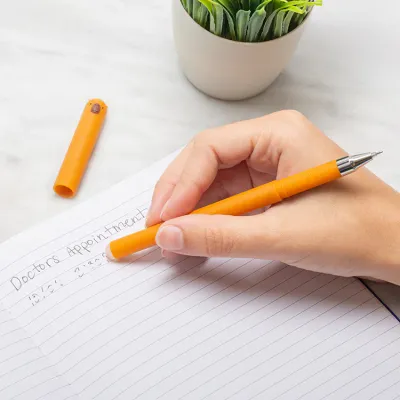 Kikkerland Capybara Erasable Gel Pens