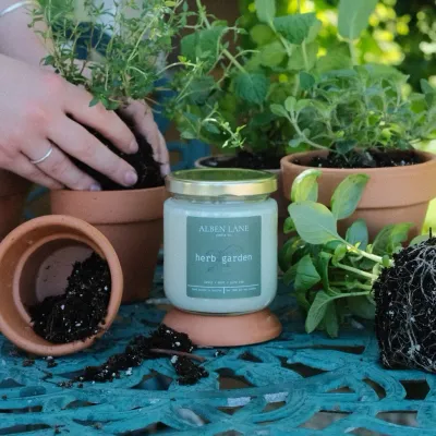 Alben Lane Herb Garden Candle 8oz