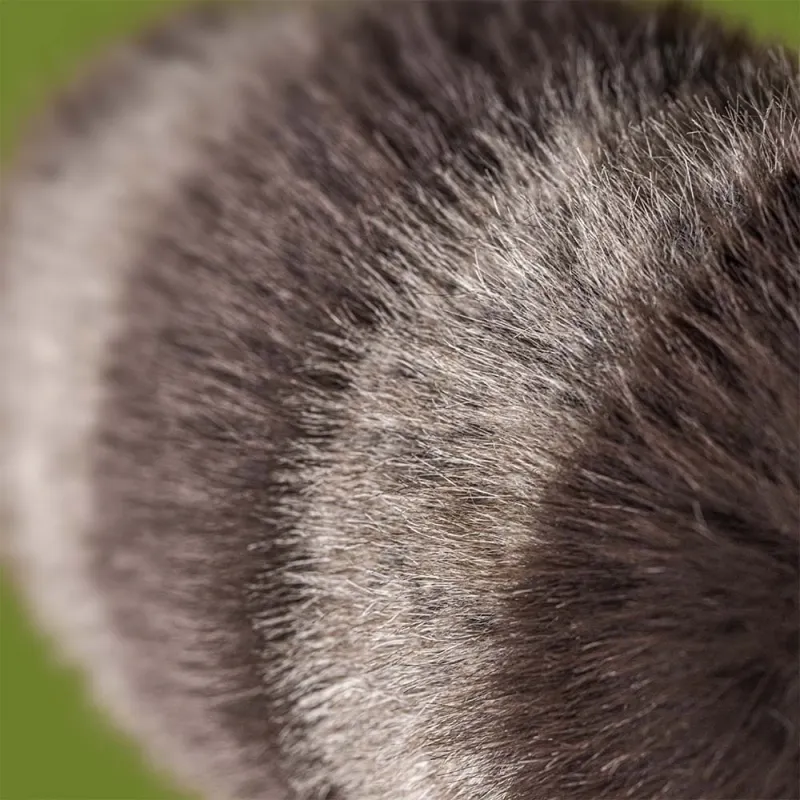 Jellycat Trixiwoo Raccoon