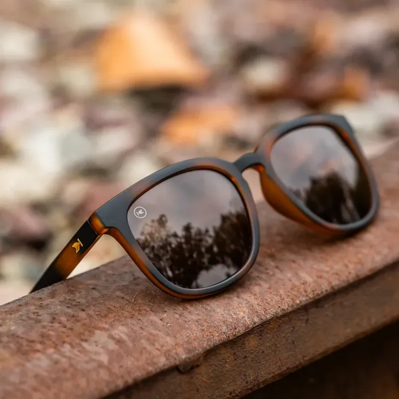 Knockaround Paso Robles Cypress Knockaround Paso Robles Cypress