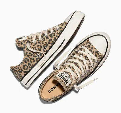 Chuck Taylor All Star Low Top Canvas Egret/Black/Honey Stick