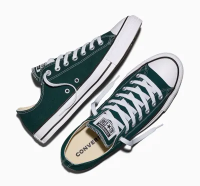 Chuck Taylor All Star Low Top Canvas Steely Pine