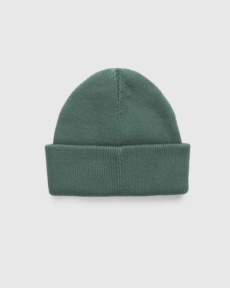 Ten Tree Alden Beanie Pine Green