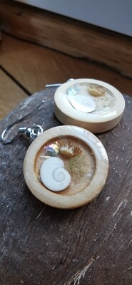 Shiva Eye Shell Earrings 2