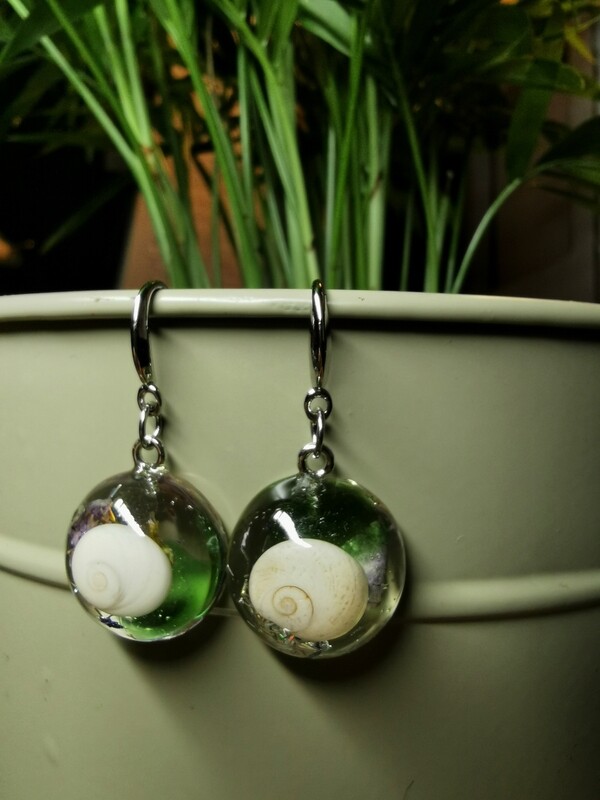 Shiva Eye Shell Earrings 1