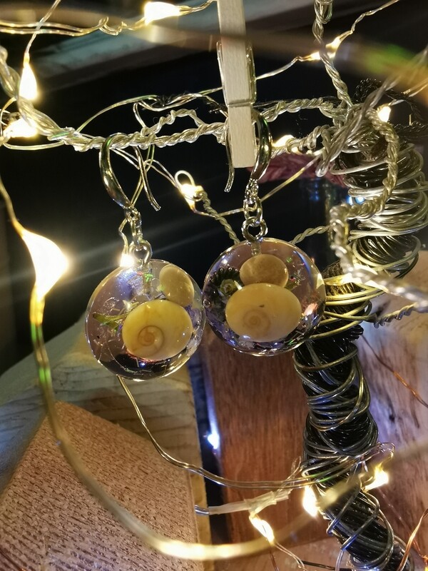 Shiva Eye Shell Earrings 2