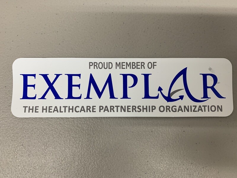 Exemplar Network Window Sticker