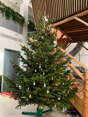 decorated christmas tree