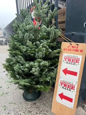 Ali &amp; Joe's Christmas tree sale Bristol